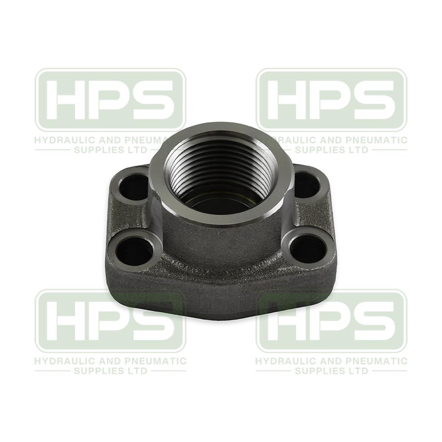 1.1/2&quot; BSPP SAE 3000 Flange